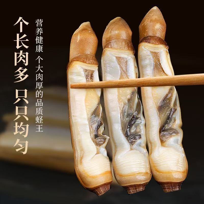 特大蛏王肉新鲜无沙5斤