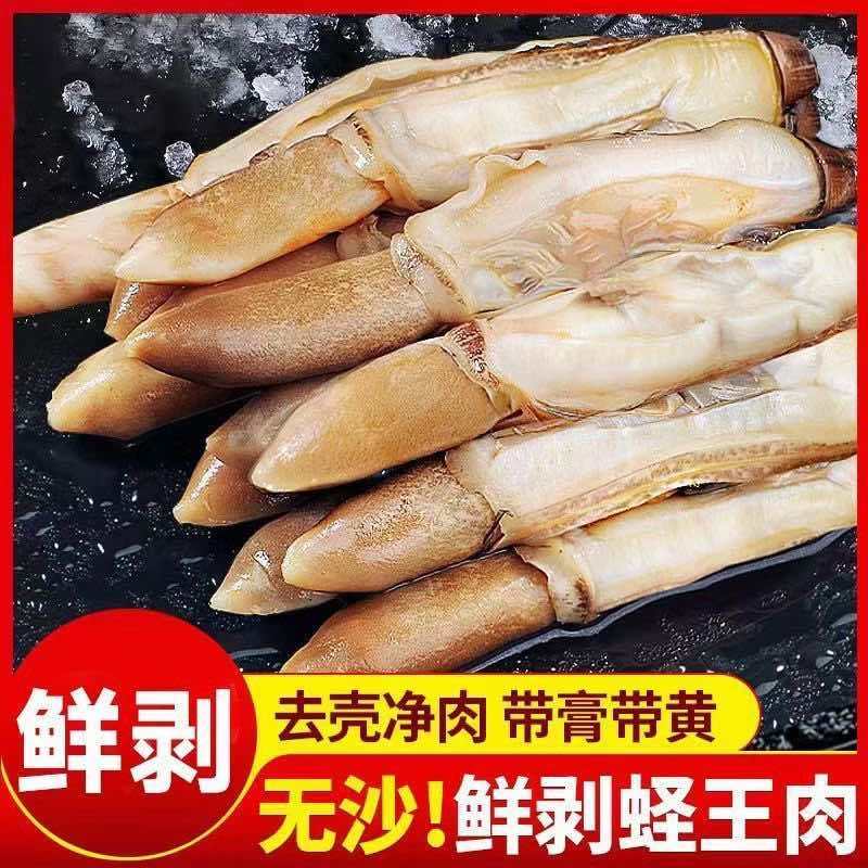 特大蛏王肉新鲜无沙5斤