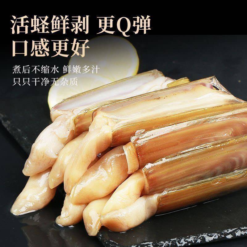 特大蛏王肉新鲜无沙5斤