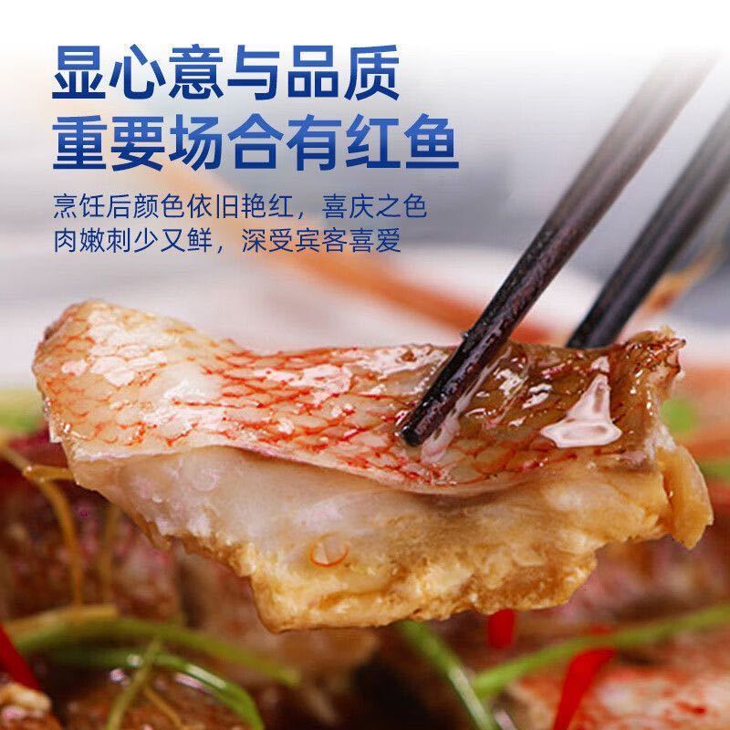 深海红石斑鱼新鲜冷冻（每条700g）10条起发