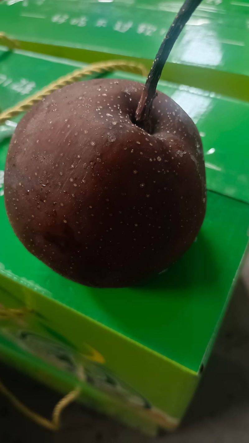 软儿梨