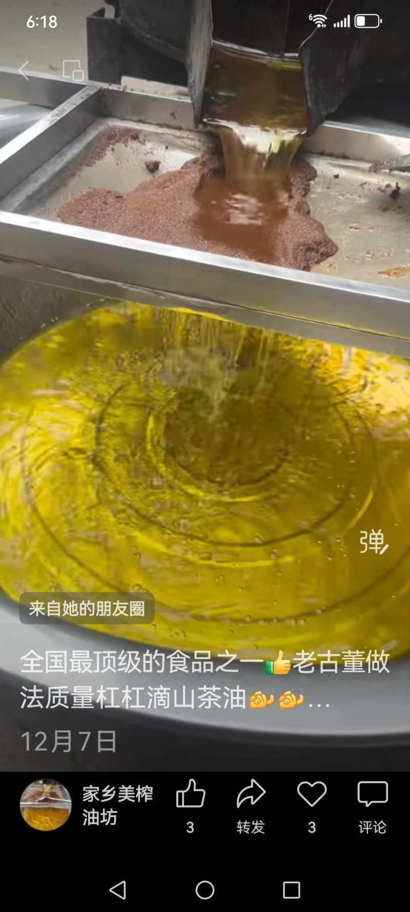 广西正宗土茶油