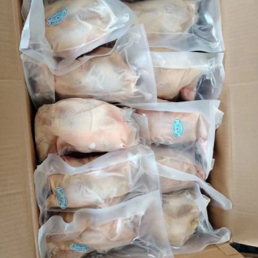 袋装单冻规格齐全资质齐全工厂直销量大优惠