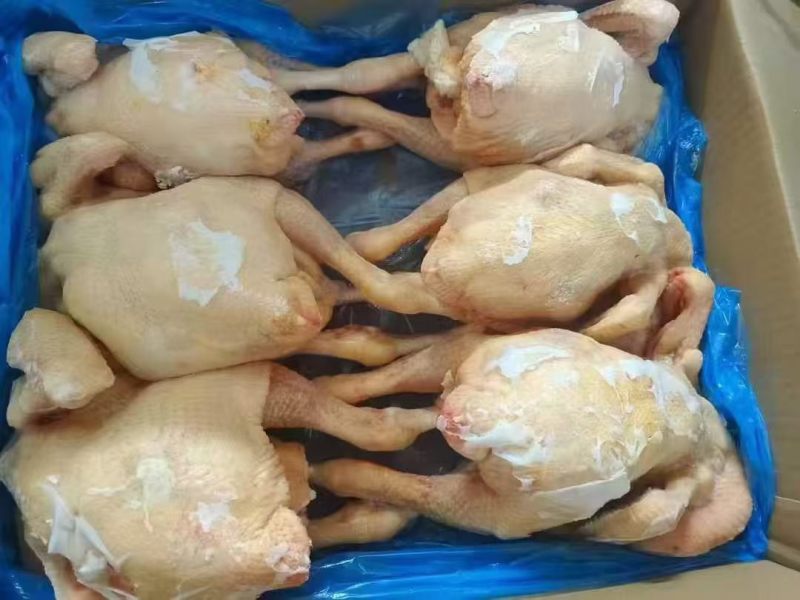 袋装单冻规格齐全资质齐全工厂直销量大优惠
