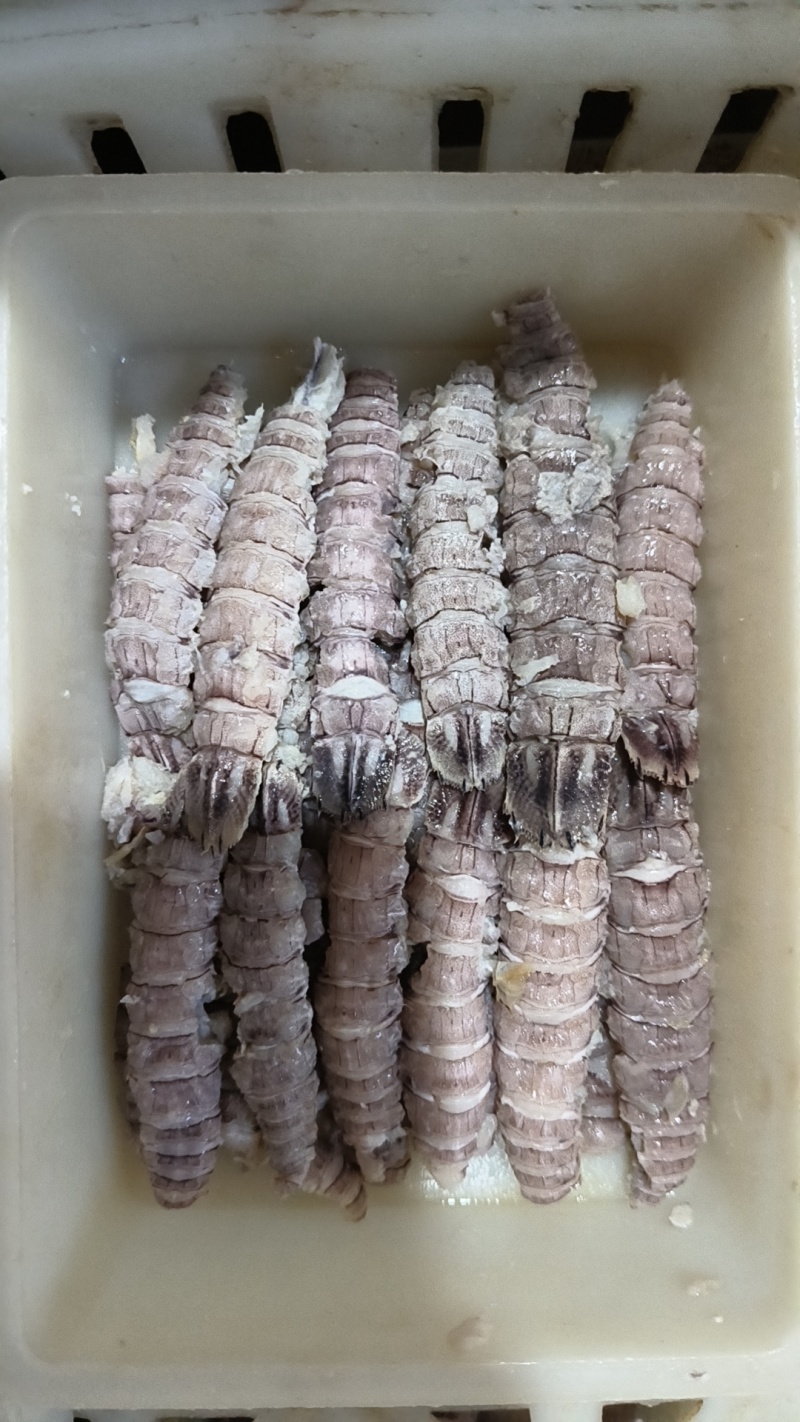精品皮皮虾肉，肉质紧实Q弹