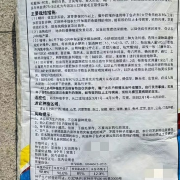 毛豆