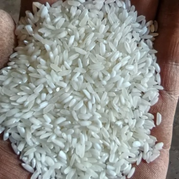 缅甸🇲🇲杜卡碎米够白够硬
