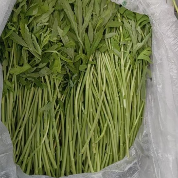 蔬菜