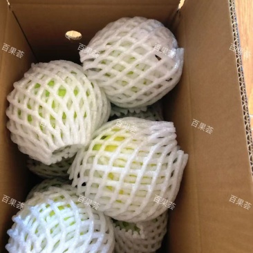 芭乐