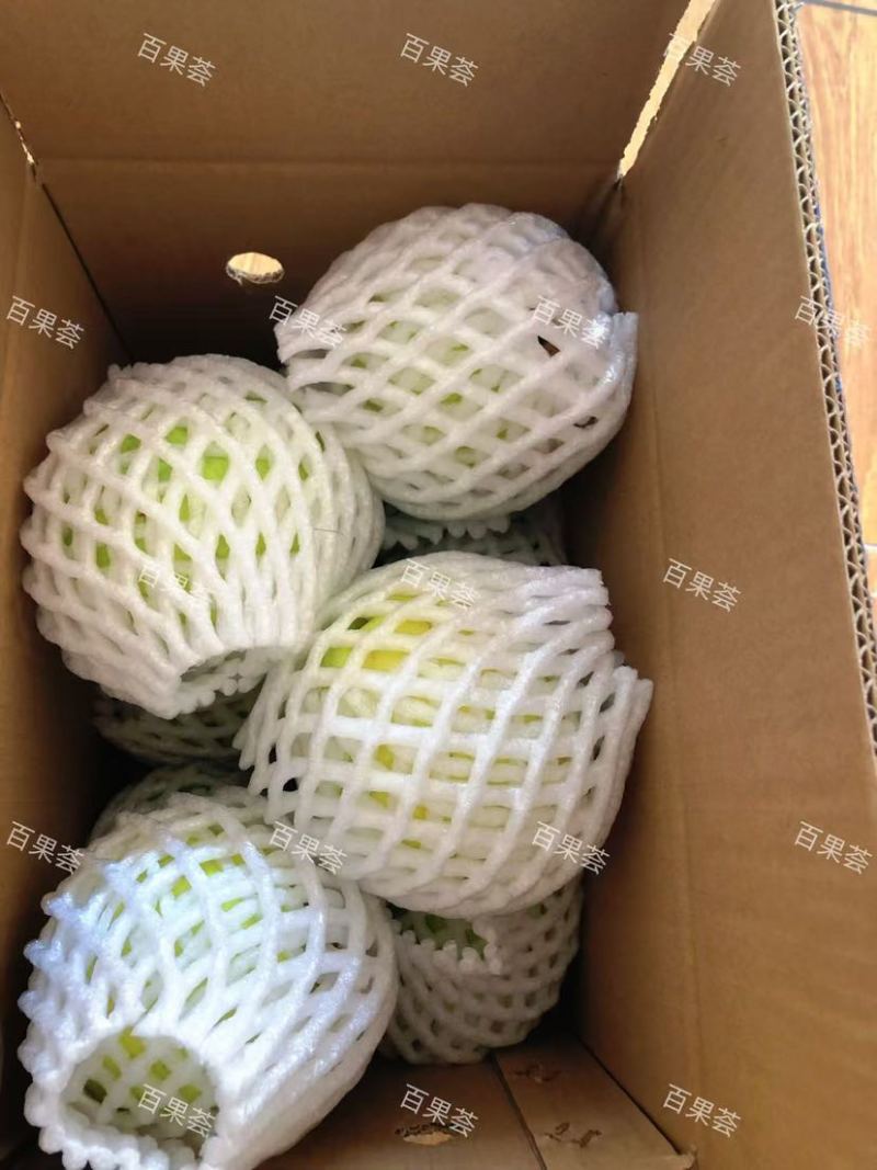 芭乐