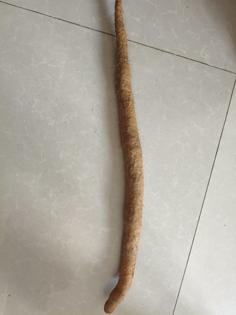 贵州安顺山药