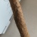 贵州安顺山药
