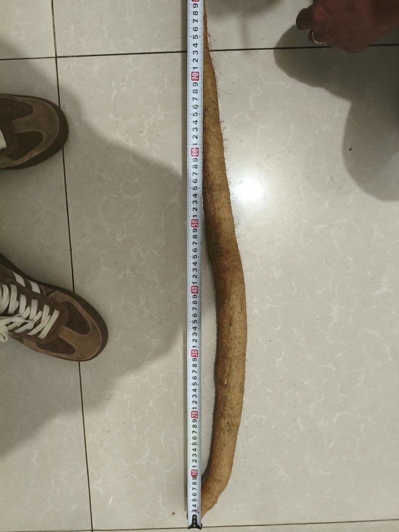 贵州安顺山药