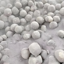 昭通永丰灰豆腐果