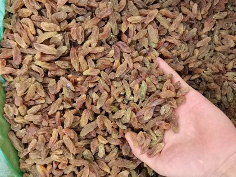 新疆葡萄干特价6.5元