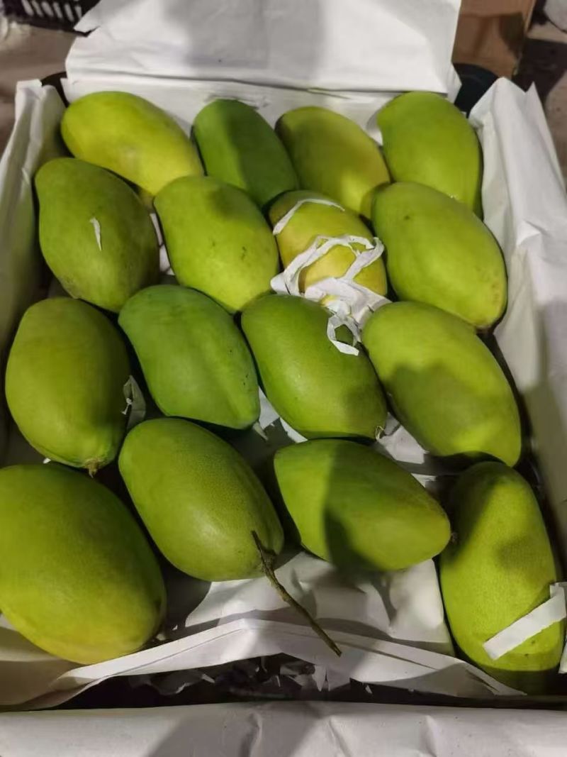 云南玉芒，大量现货，电商一件代发