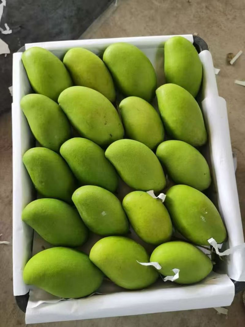 云南玉芒，大量现货，电商一件代发