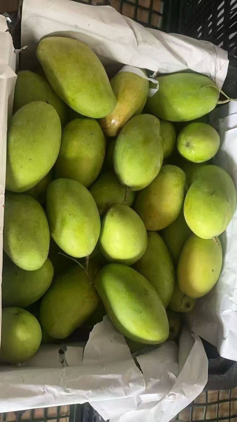 云南玉芒，大量现货，电商一件代发