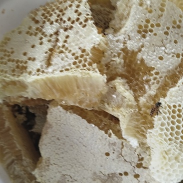 野生蜂蜜