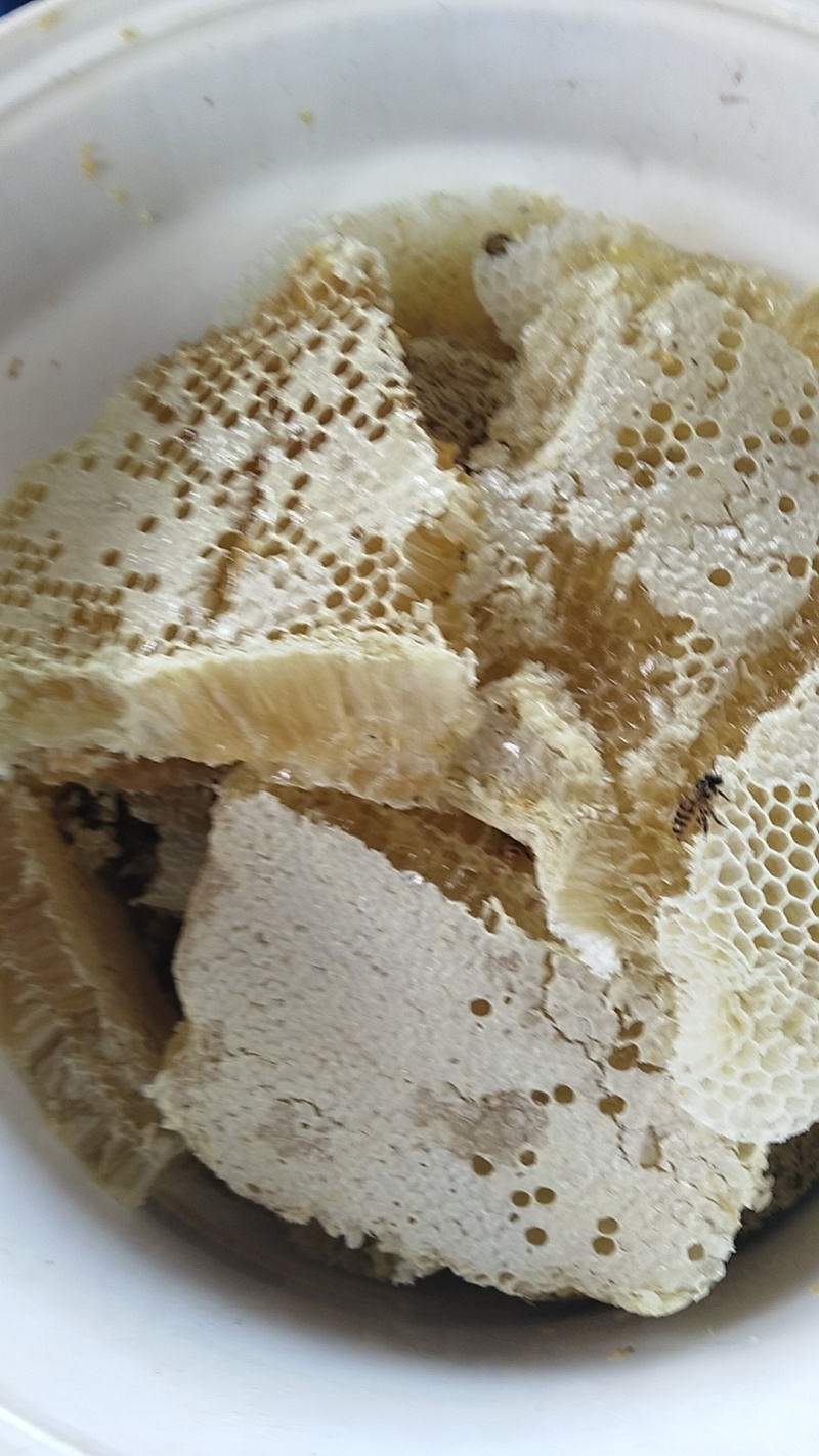 野生蜂蜜