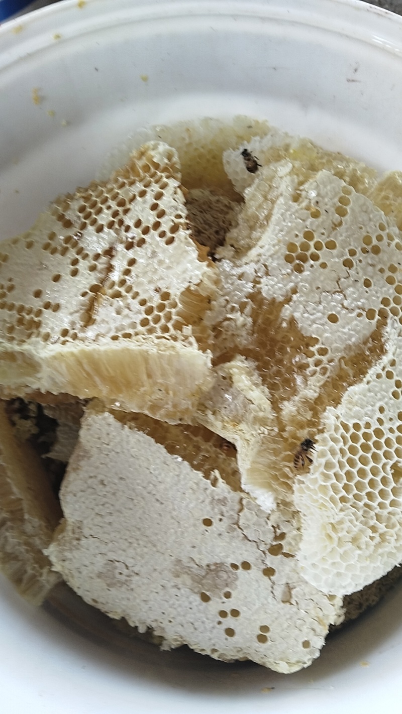 野生蜂蜜