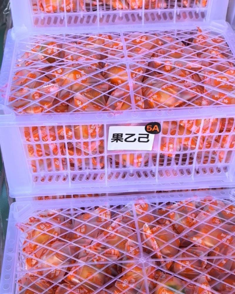 脆蜜金柑