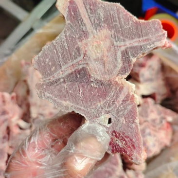 满肉羊蝎子，肉多新鲜，新货