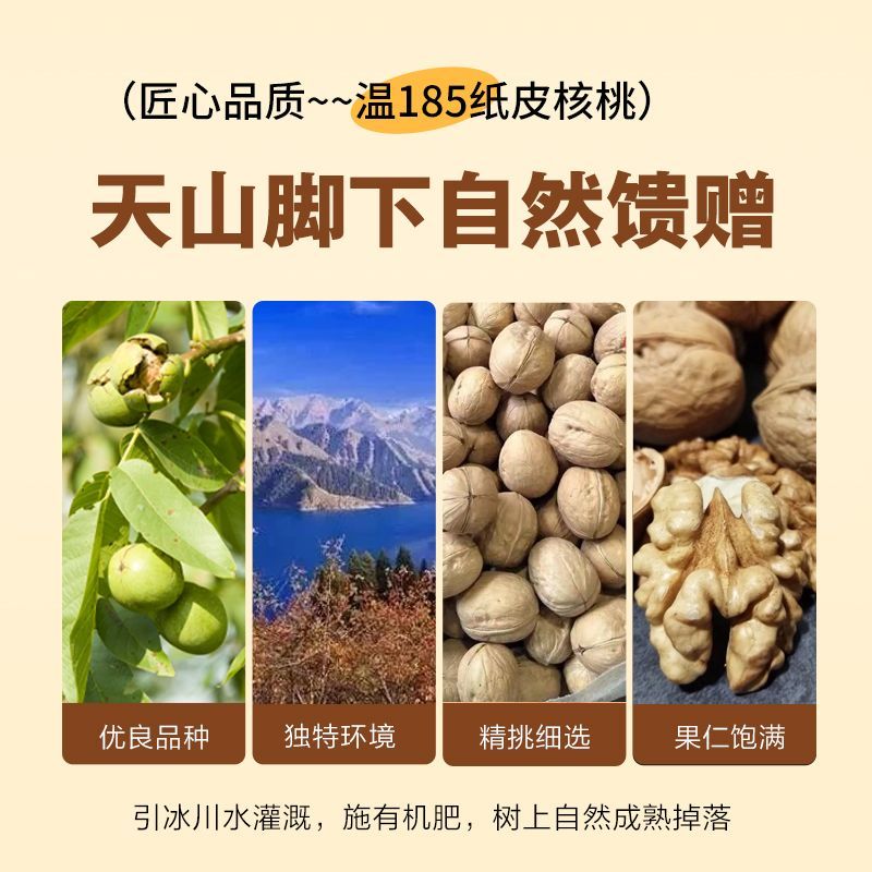 薄皮核桃