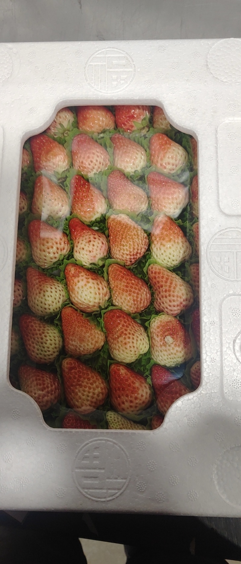 丹东草莓，