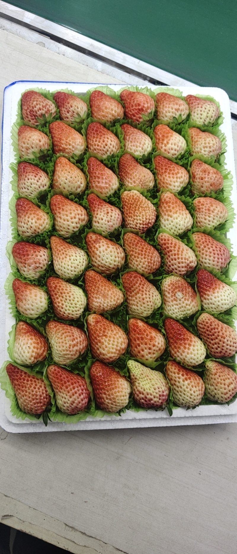 丹东草莓，