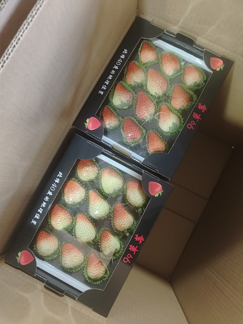 丹东草莓，