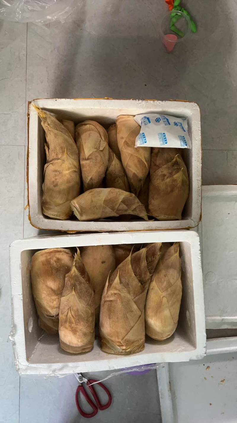 冬笋现挖现卖（下单以后安排工人现挖可以拍视频）