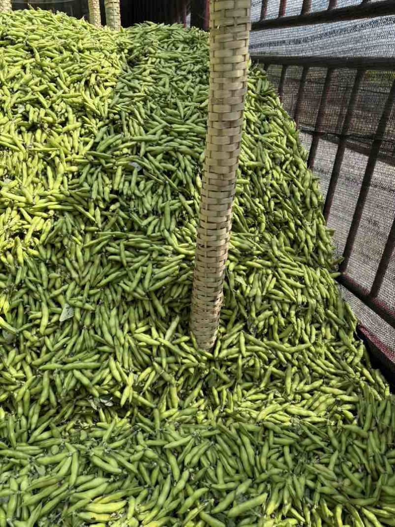 优质小米胡豆