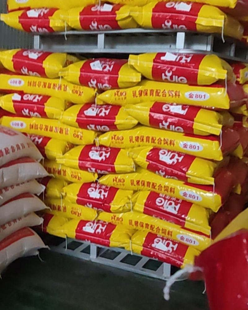 猪饲料