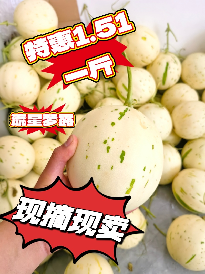 5月份玉菇甜瓜大量下来，提前留好方式，获得一手资源
