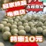 5月份玉菇甜瓜大量下来，提前留好方式，获得一手资源