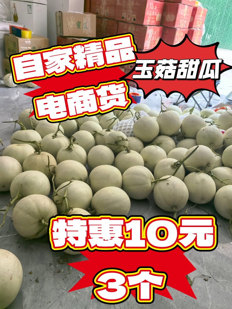 5月份玉菇甜瓜大量下来，提前留好方式，获得一手资源