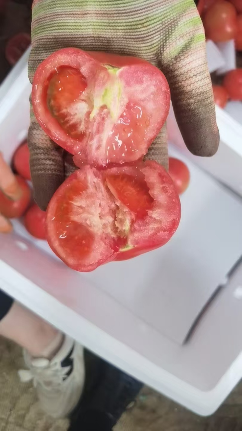 西红柿