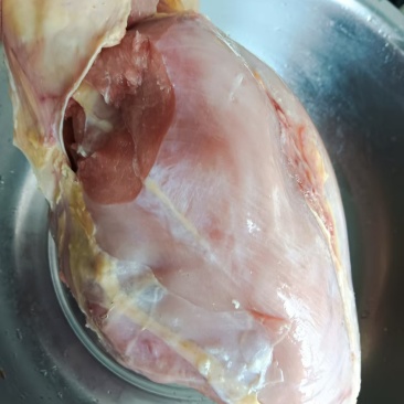 带大胸鸡架公鸡架