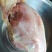 带大胸鸡架公鸡架