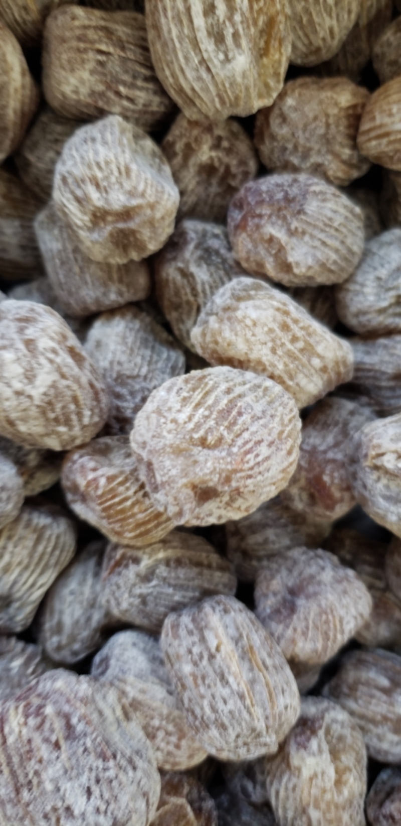 包粽子食品厂专用金丝无核硬蜜枣厂家发货品质保证资质齐全