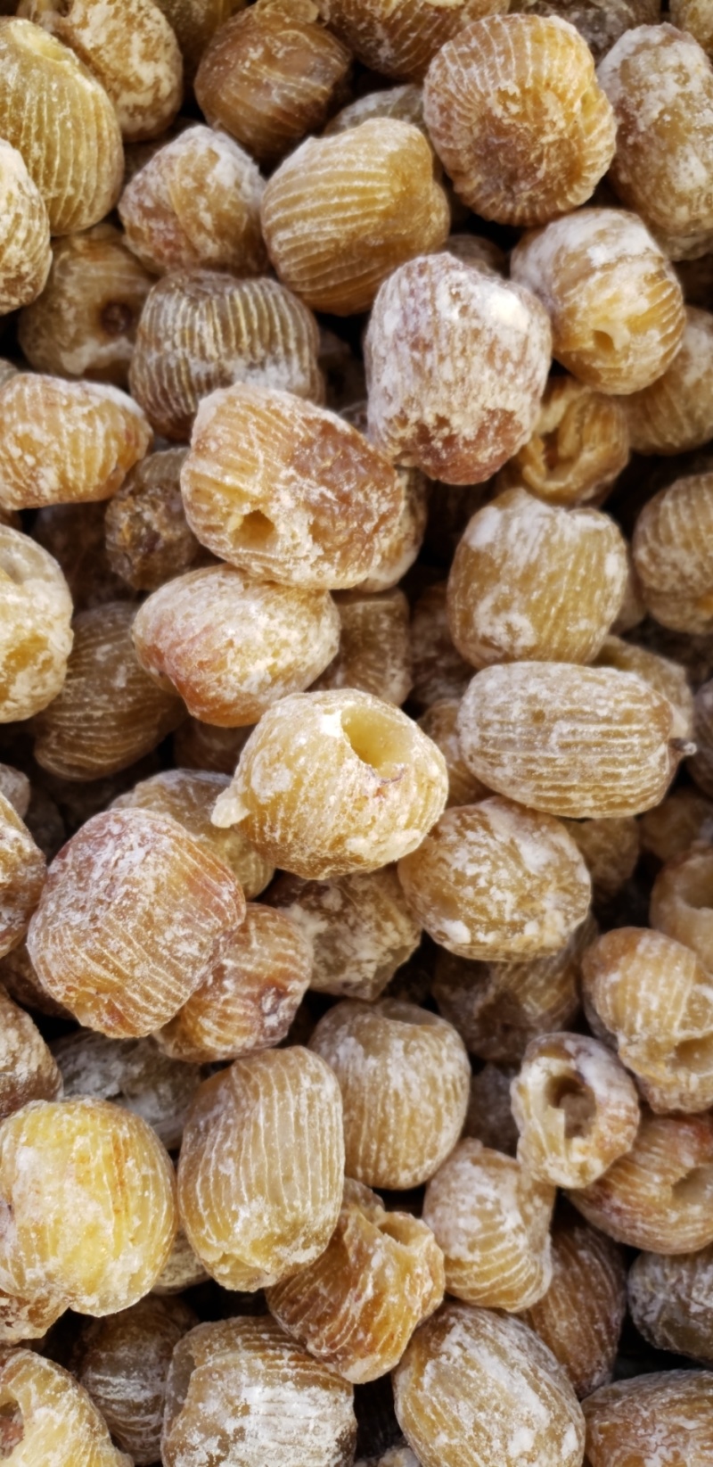 包粽子食品厂专用金丝无核硬蜜枣厂家发货品质保证资质齐全