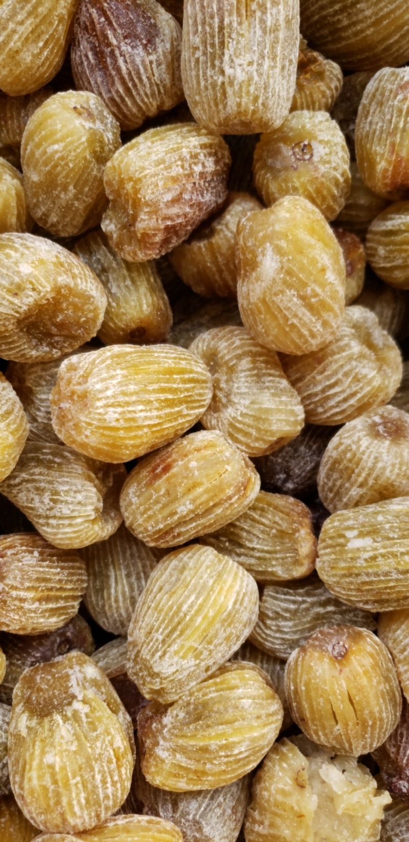 包粽子食品厂专用金丝无核硬蜜枣厂家发货品质保证资质齐全