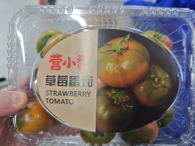 草莓西红柿。碱地西红柿。精品果
