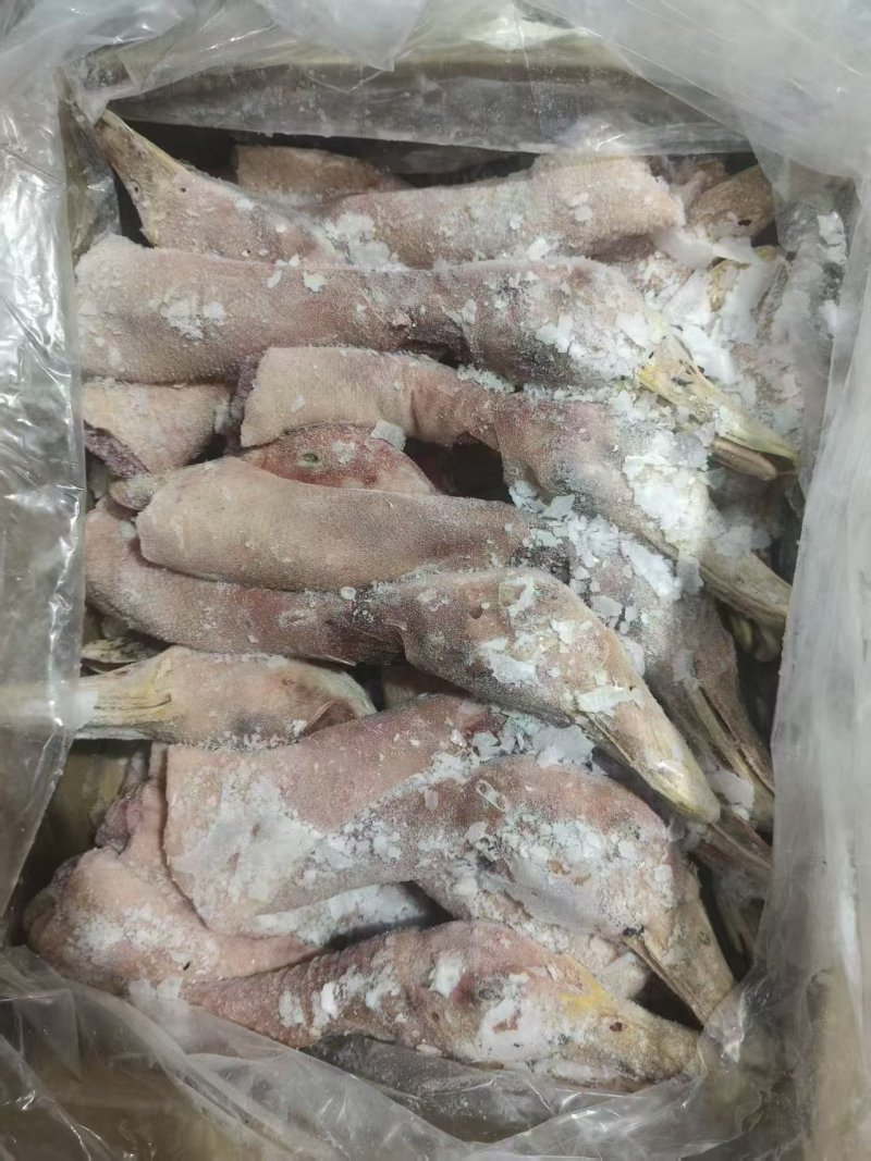 厂家老鸭头脖20吨