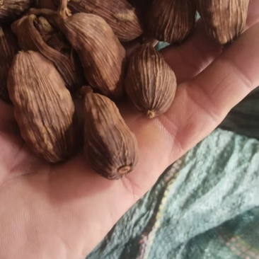 自家的正宗云南大草果草果颗粒草果个草果粉香料批味道真香