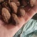自家的正宗云南大草果草果颗粒草果个草果粉香料批味道真香