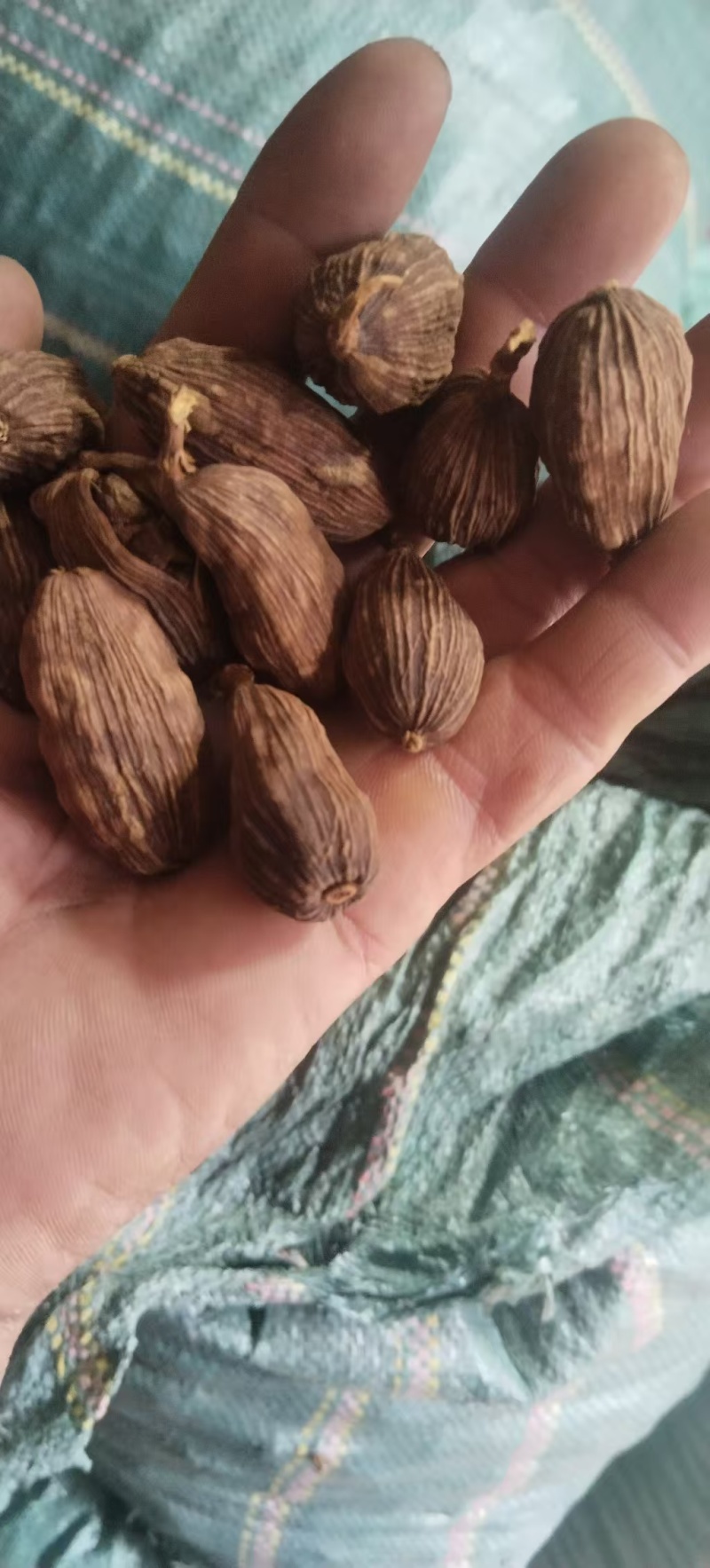 自家的正宗云南大草果草果颗粒草果个草果粉香料批味道真香