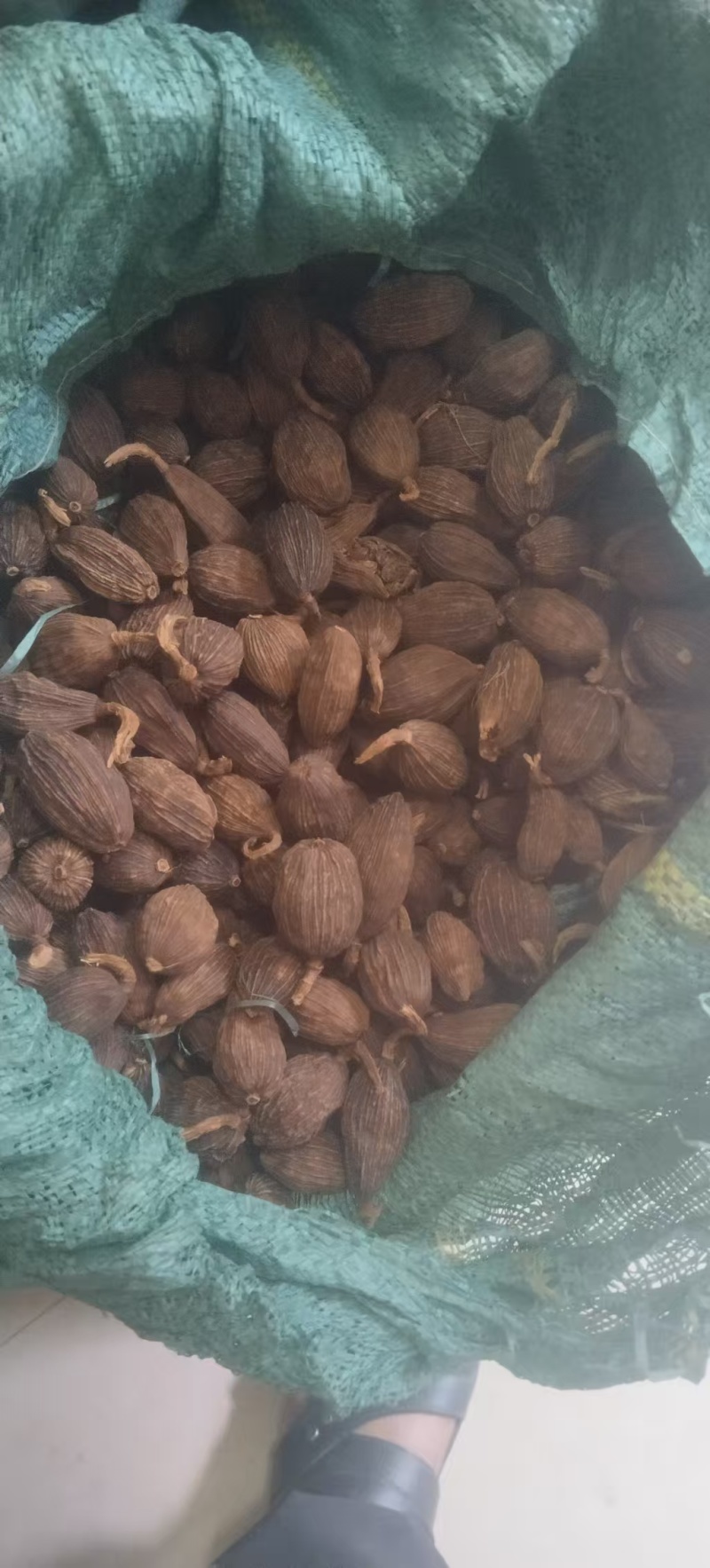 自家的正宗云南大草果草果颗粒草果个草果粉香料批味道真香