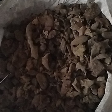 统装